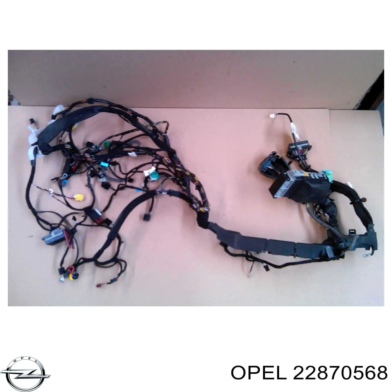 22870568 Opel luna de puerta trasera izquierda