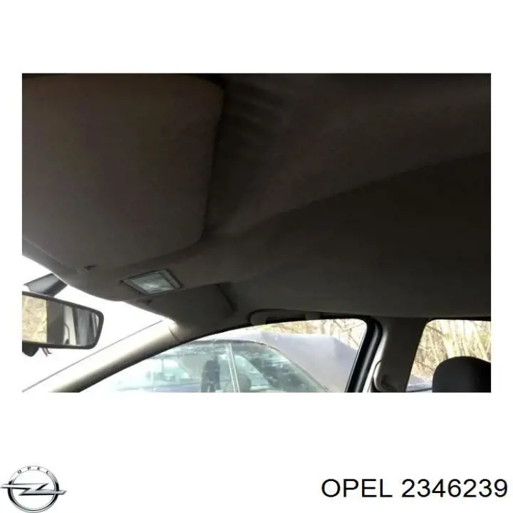 2346239 Opel