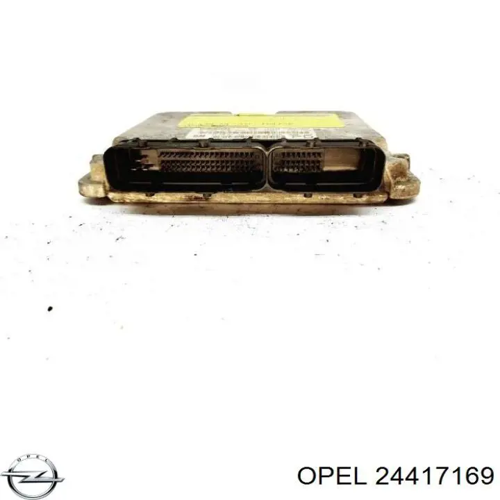 ECU 24417169 General Motors