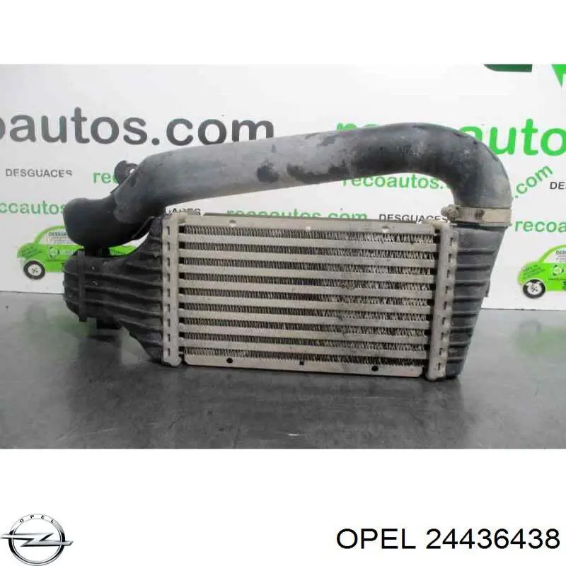 Radiador de aire de admisión Opel 24436438 precio, desde 42,11 EUR