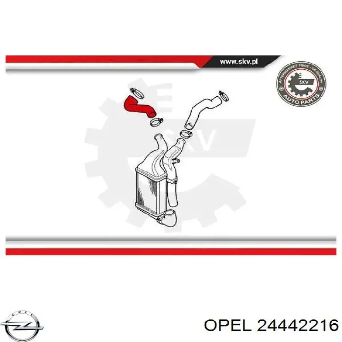 Comprar 24442216 Opel Tubo intercooler