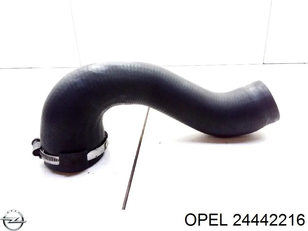 24442216 Opel Manguera del intercooler