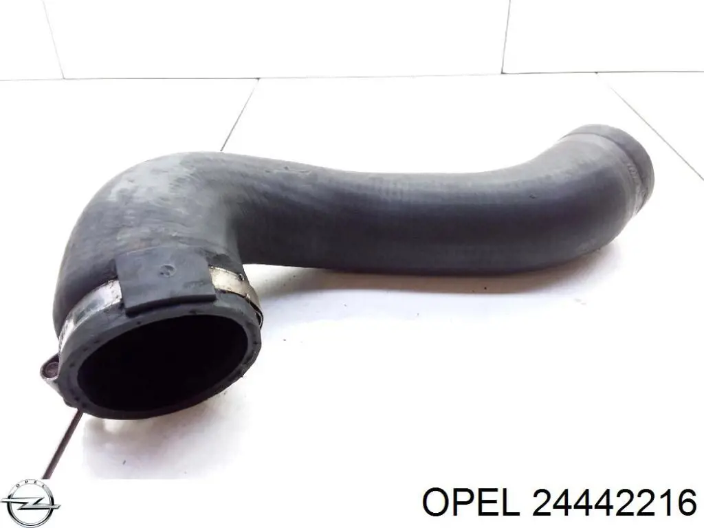 Manguera del intercooler Opel 24442216 precio, desde 16,21 EUR