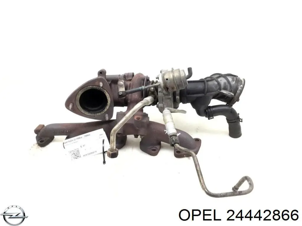 Colectores de escape para Opel Astra G F35