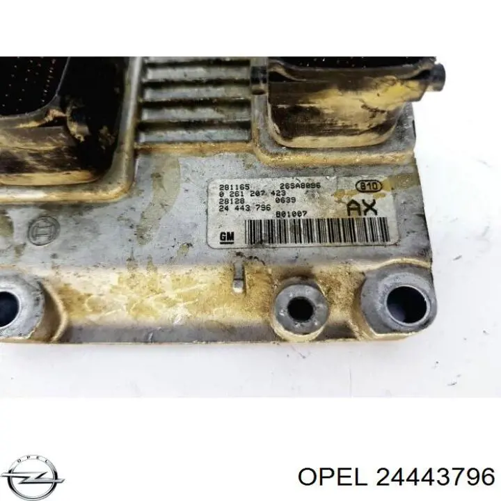 ECU 24443796 General Motors