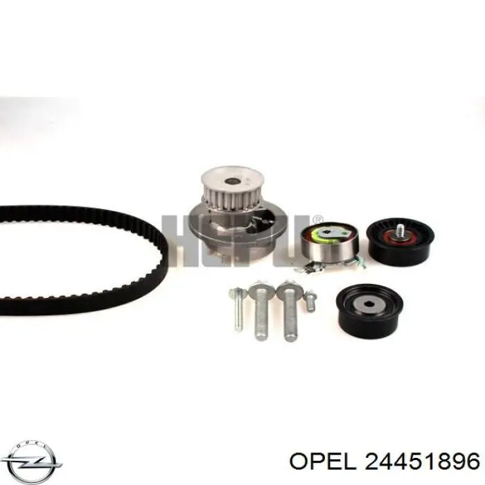 Correa distribución 24451896 Opel