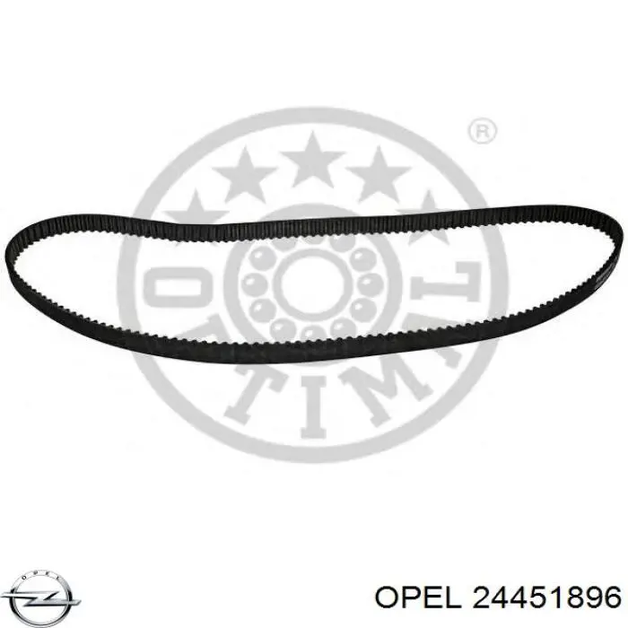 24451896 Opel correa distribucion