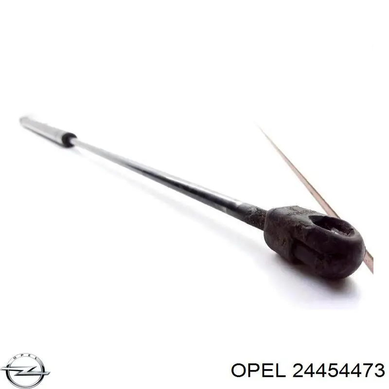 Muelle neumático, tapa delantera Opel 24454473 precio, desde 17,60 EUR