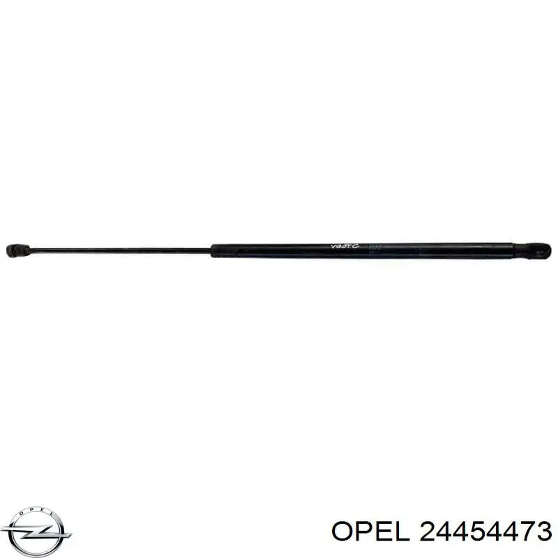 Comprar 24454473 Opel Amortiguador de capó