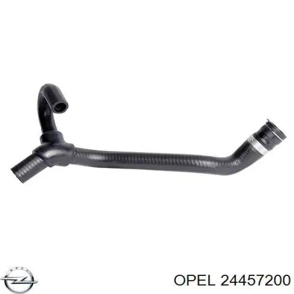  Opel 24457200 precio, desde 30,97 EUR