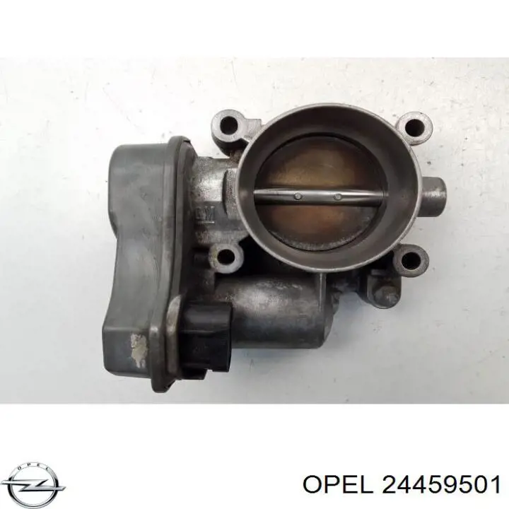 Cuerpo de aceleración completo Opel 24459501 precio, desde 111,80 EUR