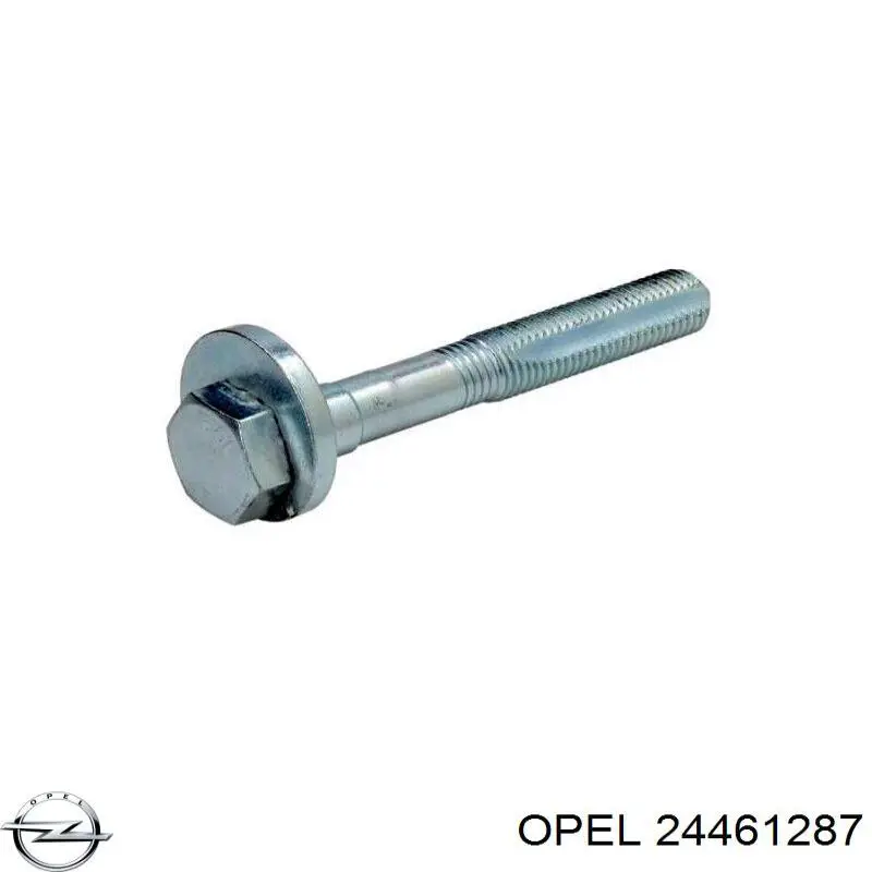 24461287 Opel tornillo de rótula de suspensión delantera a mangueta