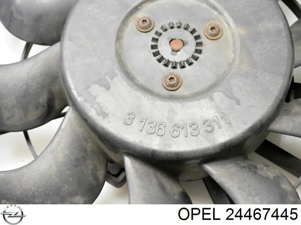 Radiador de agua Opel 24467445 precio, desde 39,70 EUR