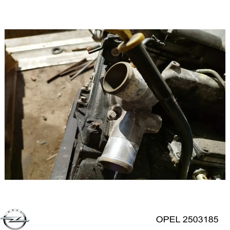 2503185 Opel termostato
