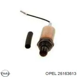 25163613 Opel