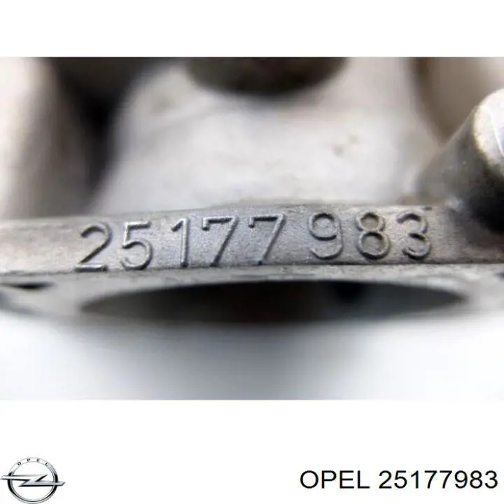 Cuerpo de aceleración completo Opel 25177983 precio, desde 90,35 EUR