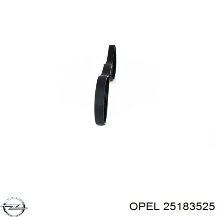 25183525 Opel correa trapezoidal