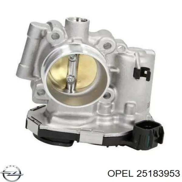 25183953 Opel cuerpo de mariposa completo