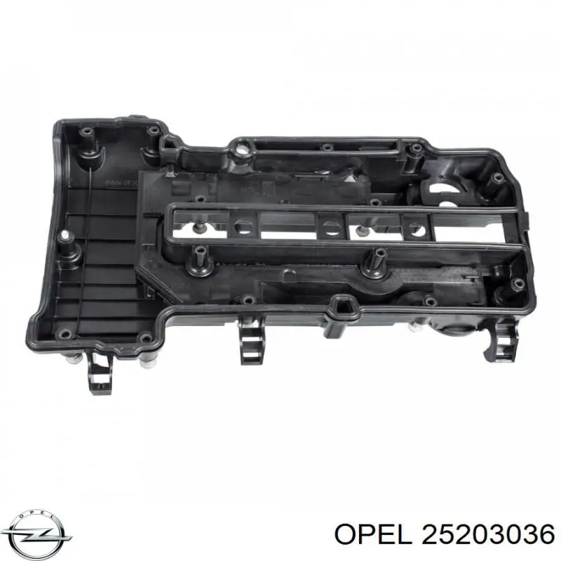 Comprar 25203036 Opel Tapa de balancines
