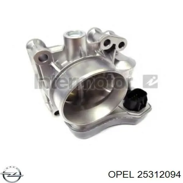 Cuerpo de mariposa 93176028 General Motors