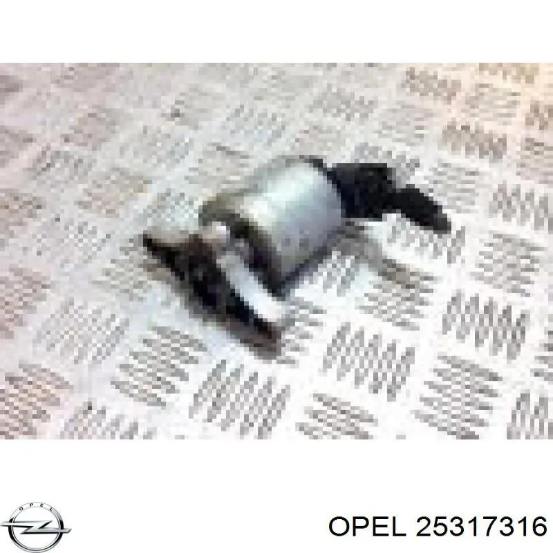 25317316 Opel inyector