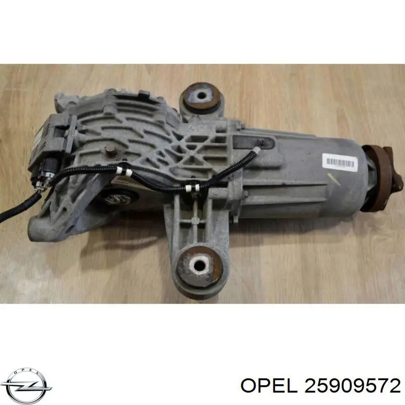Grupo trasero General Motors 25909572 precio, desde 293,12 EUR