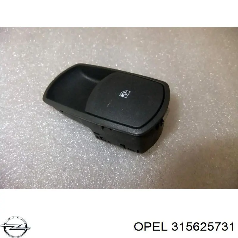 315625731 Opel