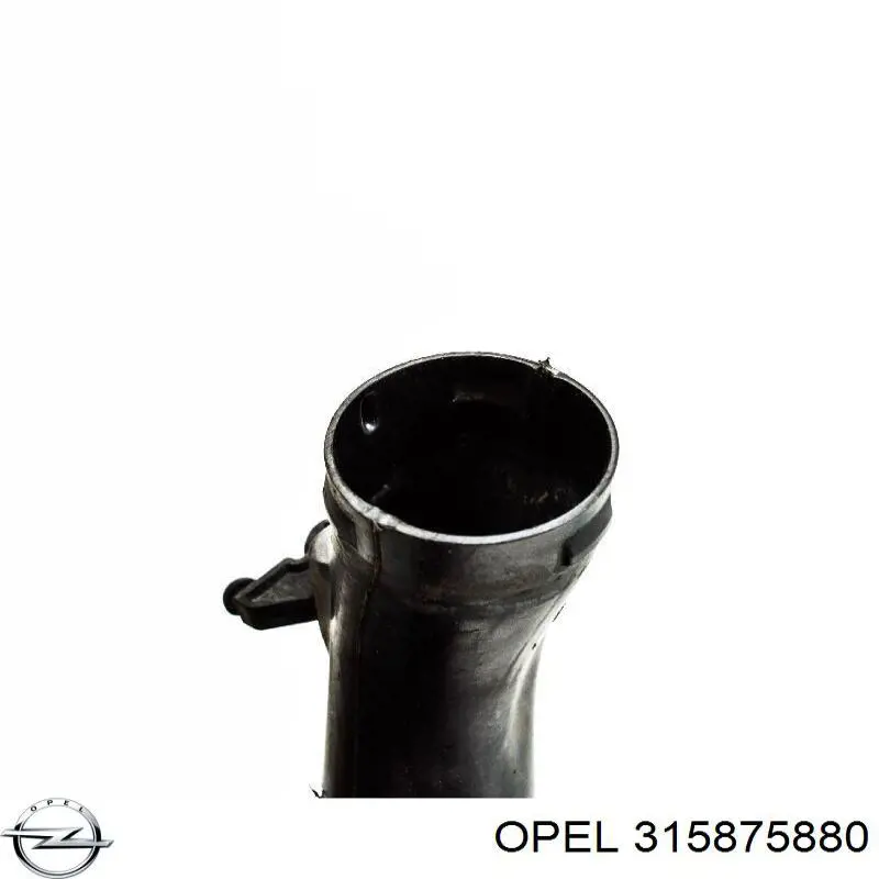 Comprar 315875880 Opel 