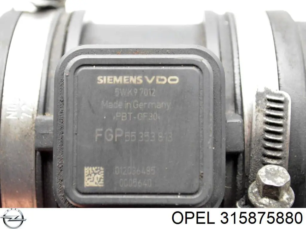 315875880 Opel 