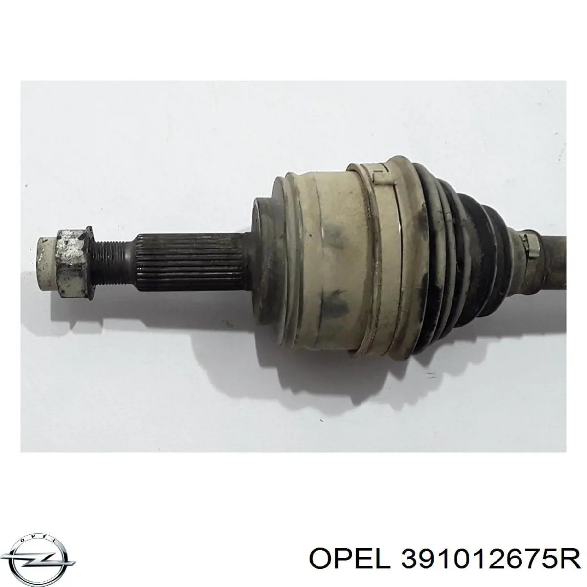 Semieje delantero izquierdo 391012360R Renault (RVI)