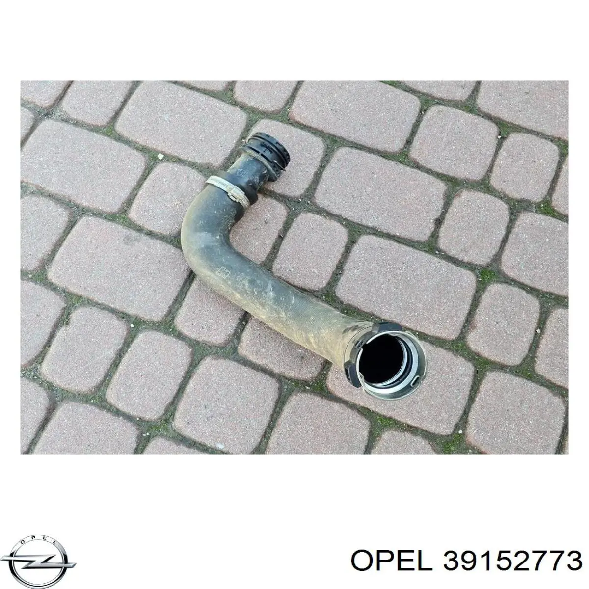 Manguera del intercooler Opel 13374646 precio, desde 68,24 EUR