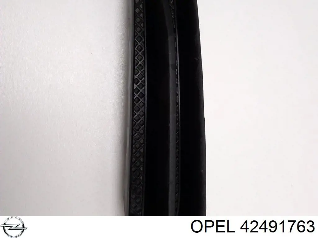 42491763 Opel