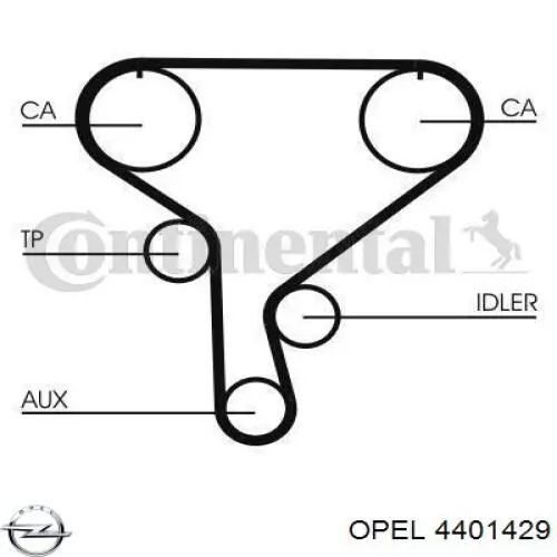 4401429 Opel correa distribucion