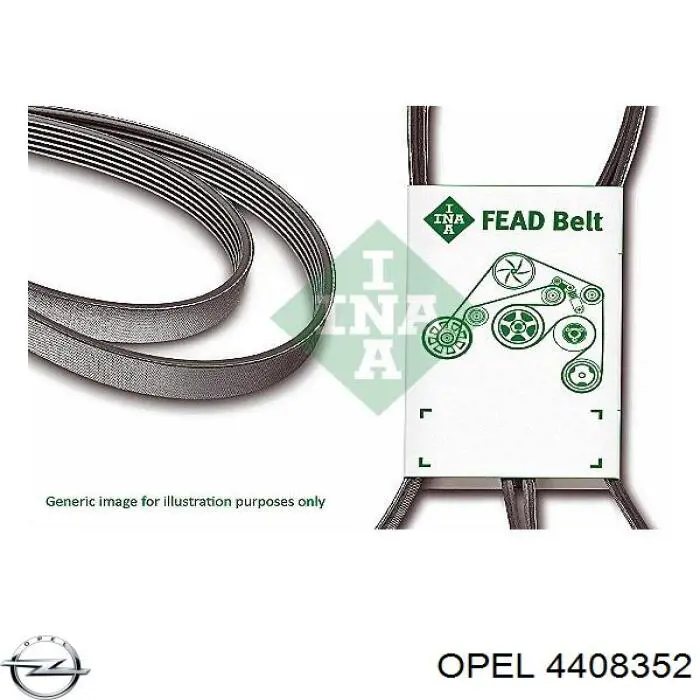 4408352 Opel Correa poly v