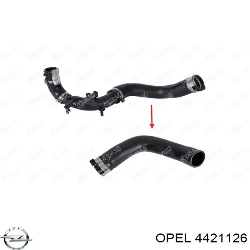 Comprar 98221 Metalcaucho Manguera superior del radiador