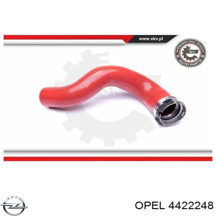 4422248 Opel tubo flexible de aire de sobrealimentación superior izquierdo