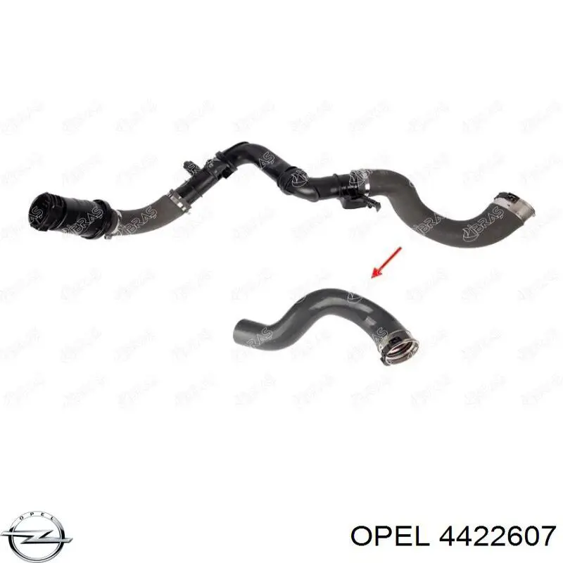 Comprar 4422607 Opel Manguera de agua refrigerante