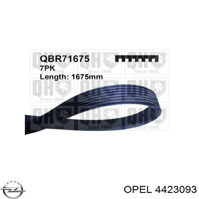 Correa de transmisión, juego Opel 4423093 precio, desde 124,11 EUR