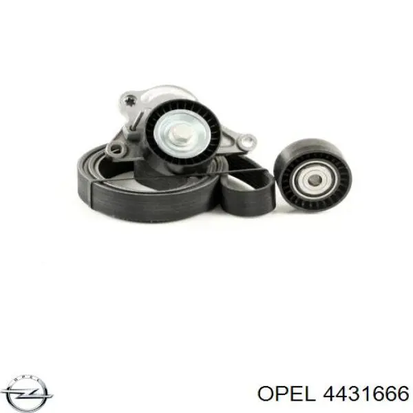 4431666 Opel correa de transmisión