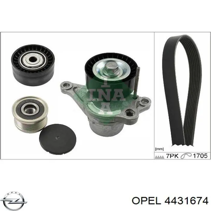 Correa de transmisión, juego Opel 4431674 precio, desde 99,51 EUR