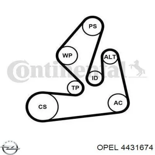 Correa de transmisión 4431674 Opel
