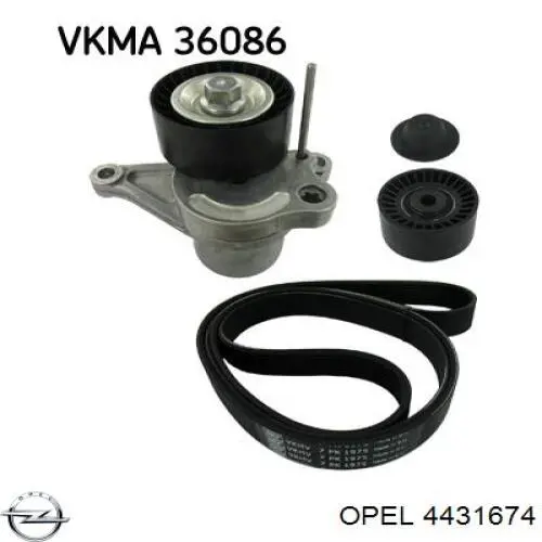 Comprar 4431674 Opel Correa de transmisión