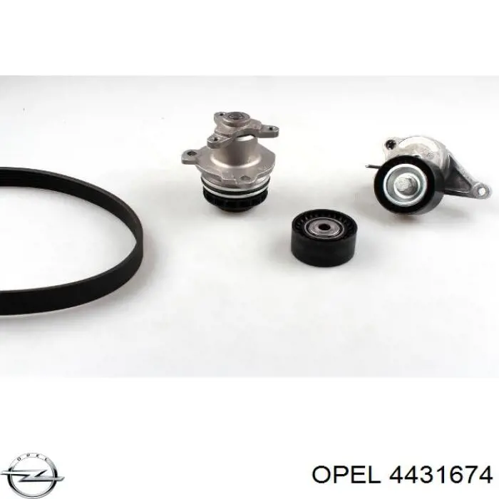 4431674 Opel Correa de transmisión, completo
