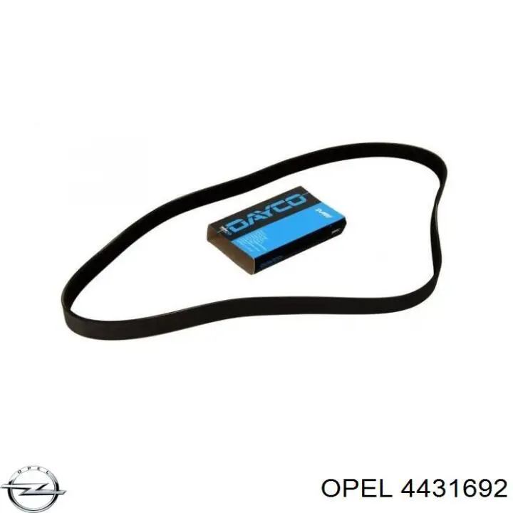 4431692 Opel correa trapezoidal