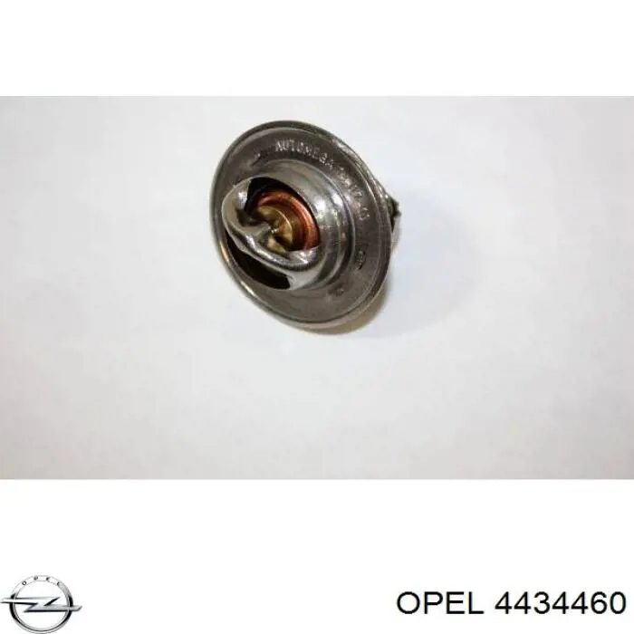 Termostato, refrigerante Renault Laguna 2 BG0, BG1