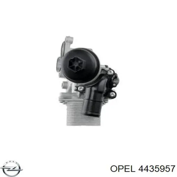 4435957 Opel radiador de aceite, bajo de filtro