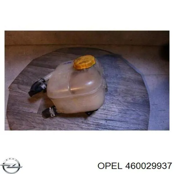 Botella expansion General Motors 460029937 precio, desde 31,94 EUR