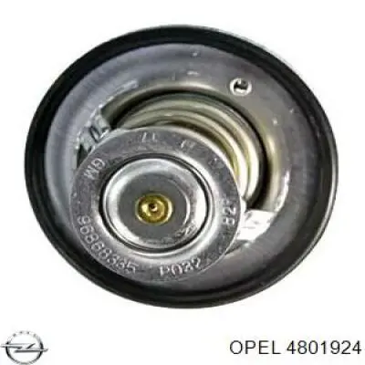 4801924 Opel termostato