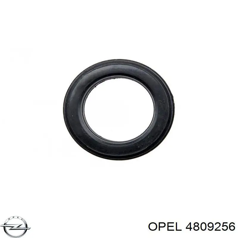 Comprar 4809256 Opel Retén del diferencial del eje trasero