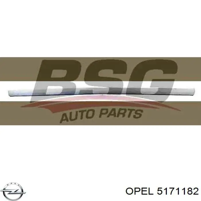 5171182 Opel moldura de la puerta delantera derecha